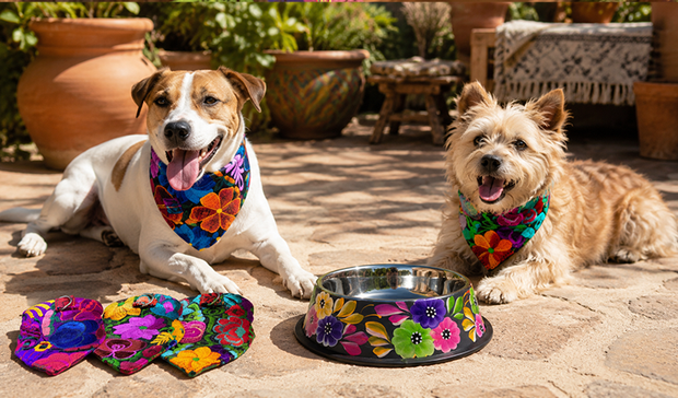 Productos para mascotas - Abarrot