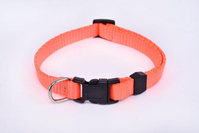 Collar para perro raza pequeña tipo Chihuahua - Naranja flúor MODELO #030904