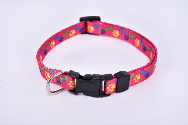 Collar para perro raza pequeña tipo Chihuahua - Magenta MODELO #030906