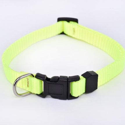 Collar para perro raza pequeña tipo Chihuahua - Verde flúor MODELO #030903