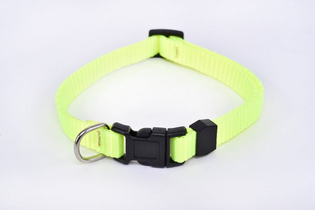 Collar para perro raza pequeña tipo Chihuahua - Verde flúor MODELO #030903